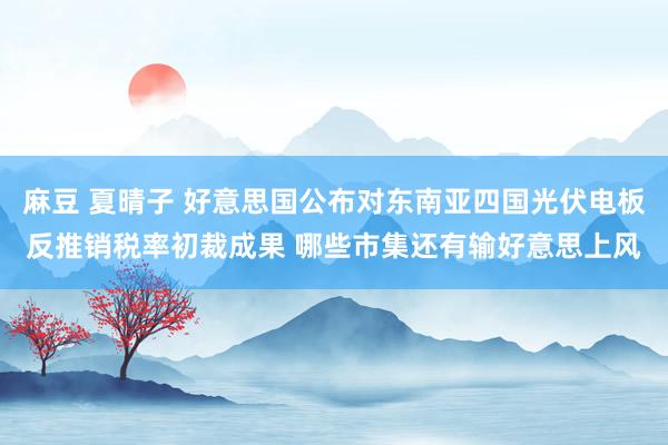 麻豆 夏晴子 好意思国公布对东南亚四国光伏电板反推销税率初裁成果 哪些市集还有输好意思上风