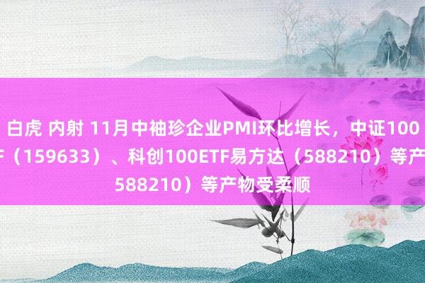白虎 内射 11月中袖珍企业PMI环比增长，中证1000指数ETF（159633）、科创100ETF易方达（588210）等产物受柔顺