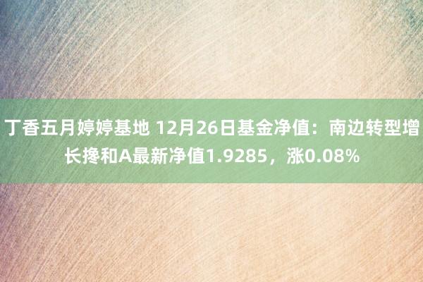 丁香五月婷婷基地 12月26日基金净值：南边转型增长搀和A最新净值1.9285，涨0.08%
