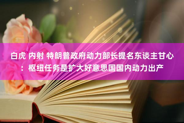 白虎 内射 特朗普政府动力部长提名东谈主甘心：枢纽任务是扩大好意思国国内动力出产