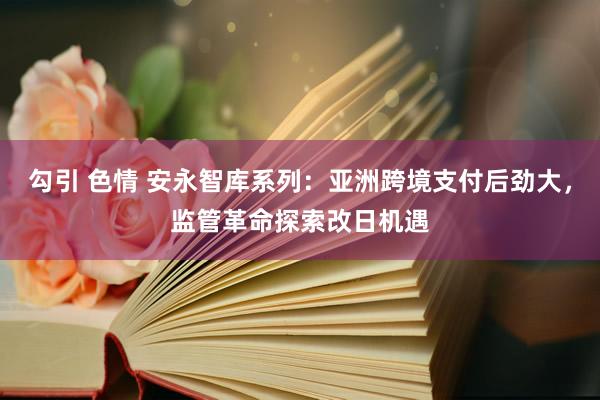 勾引 色情 安永智库系列：亚洲跨境支付后劲大，监管革命探索改日机遇
