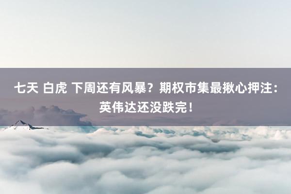 七天 白虎 下周还有风暴？期权市集最揪心押注：英伟达还没跌完！